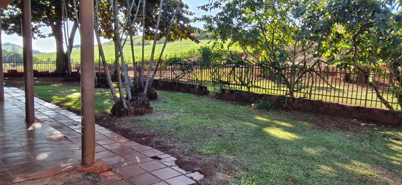 Fazenda à Venda, 102 alqueires, pastagem e plantio, com casas sede, funcionários e Colonia, barracões- região de Bandeirantes, PR