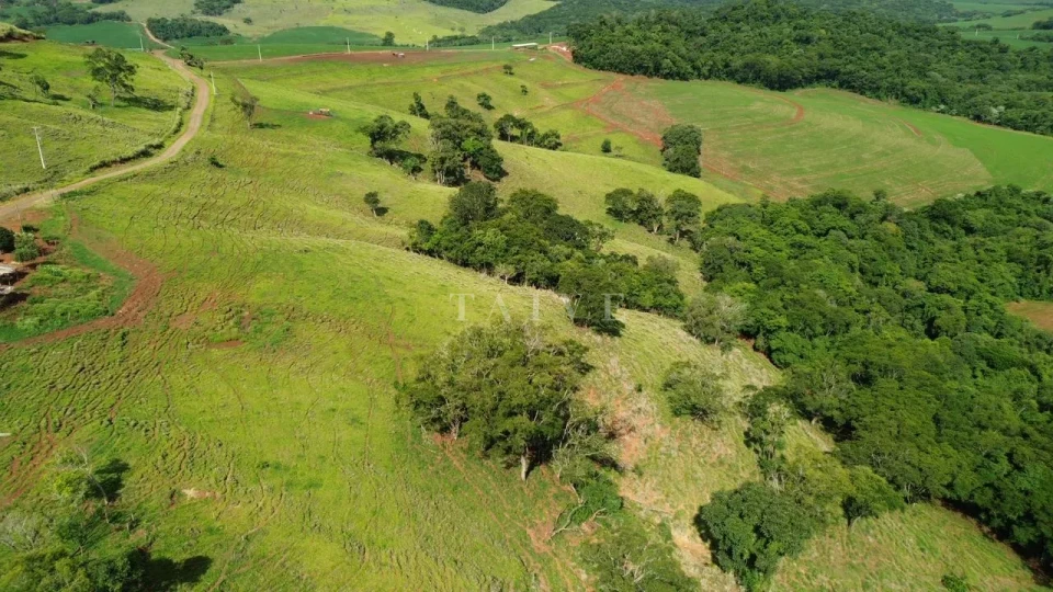 Imagens do imóveis Fazenda/Sítios/Chácaras À Venda São Luiz Londrina