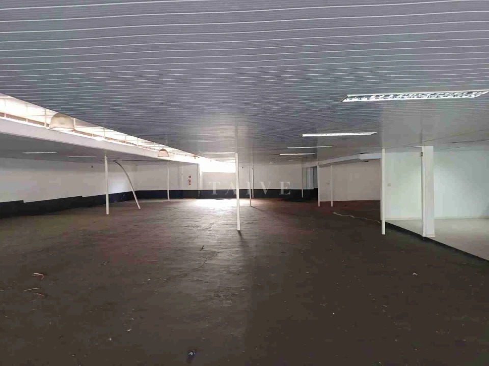 Imóvel comercial para alugar em Jardim Higienópolis, Londrina — Edifício Costa do Caribe - foto 2