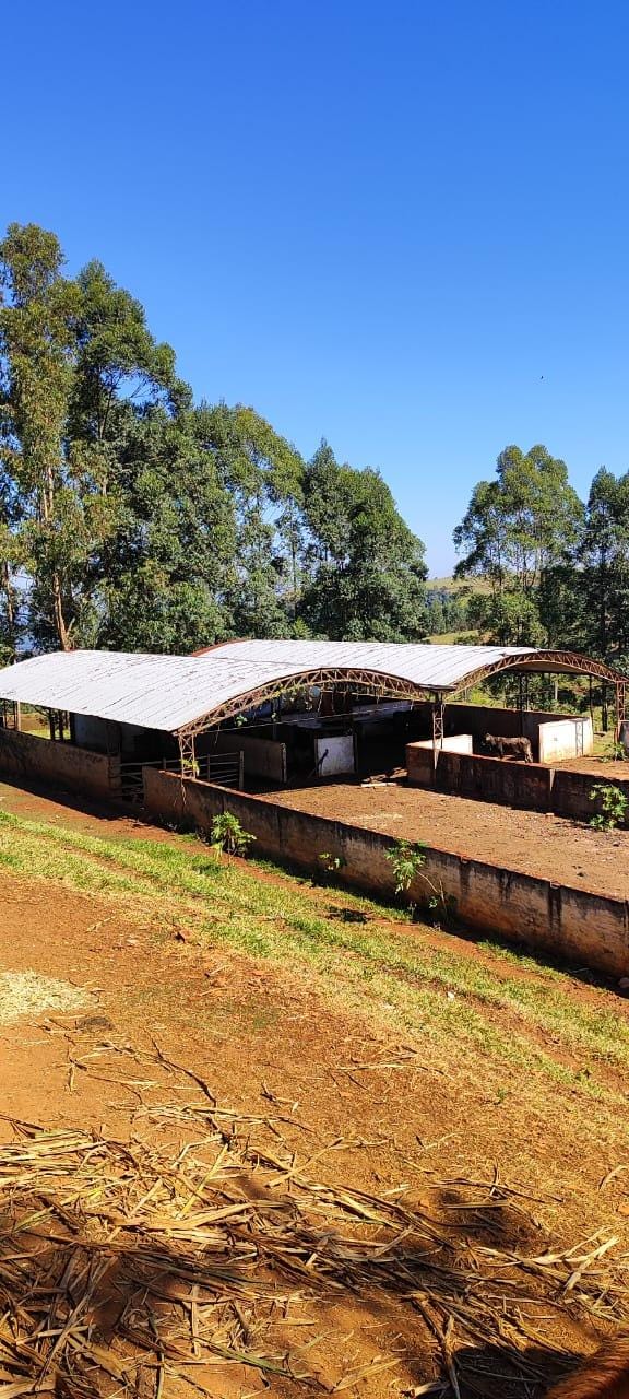 Fazenda à venda, Área Rural de Pardinho, Pardinho, SP