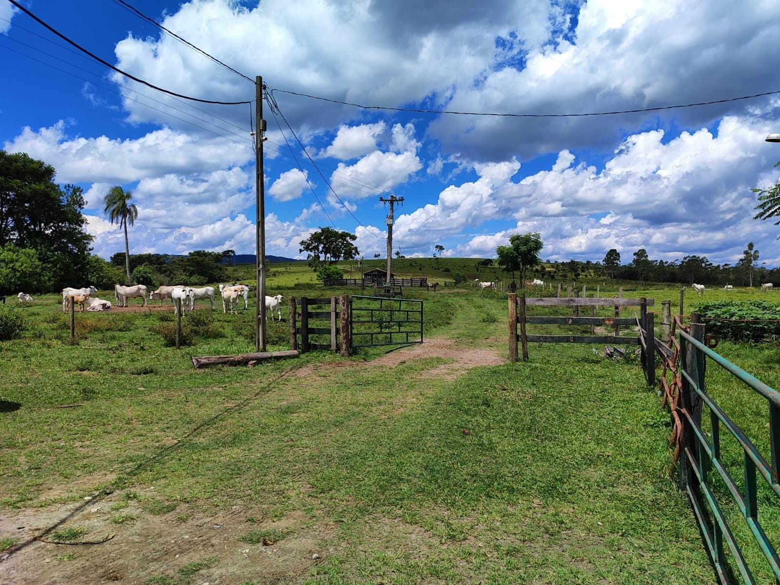 Fazenda à venda, Área Rural de Botucatu, Botucatu, SP