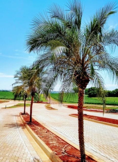 Imagens do imóveis Terreno a venda total  1562m²- Condomínio Residencial Maanaim - Londrina Pr
