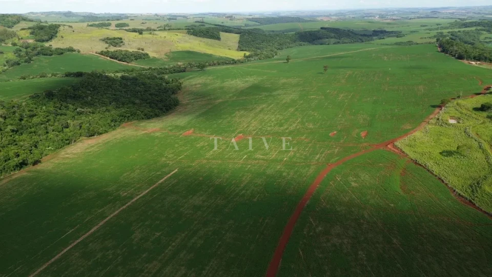 Imagens do imóveis Fazenda/Sítios/Chácaras À Venda São Luiz Londrina