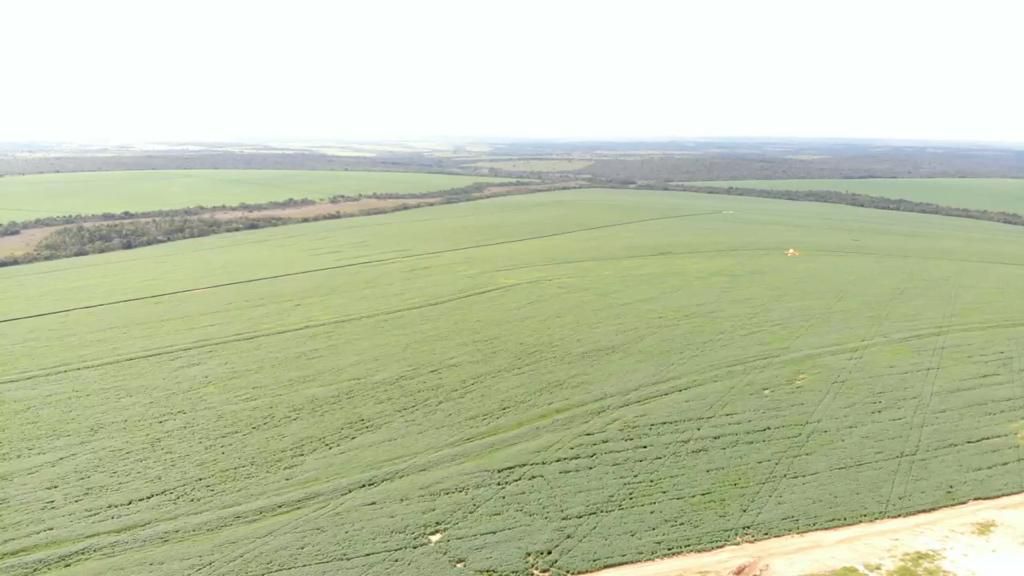 Fazenda 2149 hectares a venda, JÁ PLANTADO, PISTA DE POUSO-  Itiquira, MT