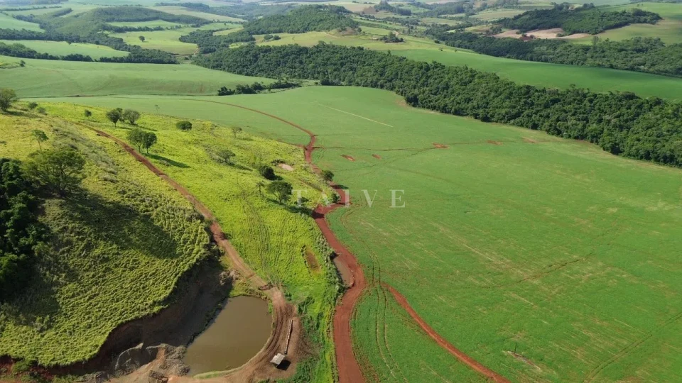 Imagens do imóveis Fazenda/Sítios/Chácaras À Venda São Luiz Londrina
