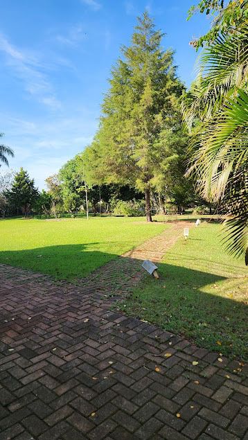 Chácara à Venda, 2500m², Condomínio Golf Ville, casa 120m² úteis, cozinha planejada - Recanto Santa Andréa, Cambé, PR