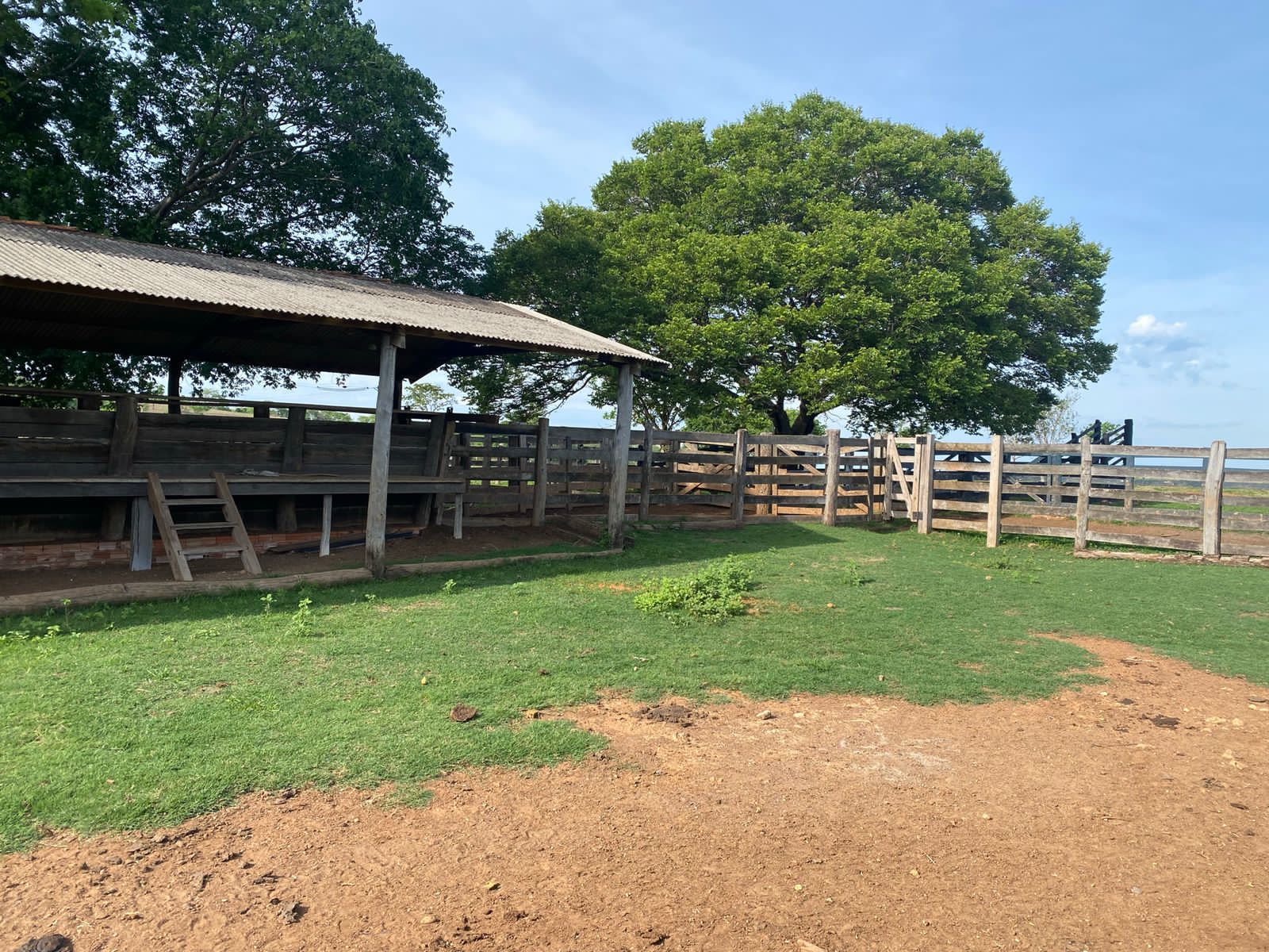 Fazenda à Venda, centro, Rosário Oeste, MT