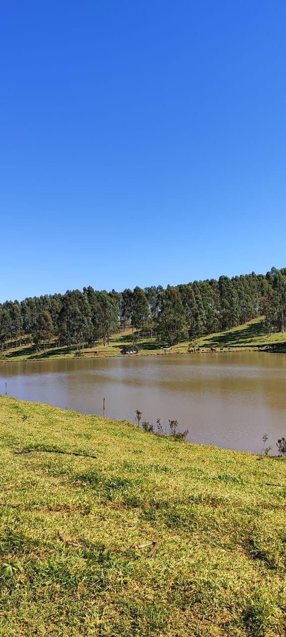 Fazenda à venda, Área Rural de Pardinho, Pardinho, SP