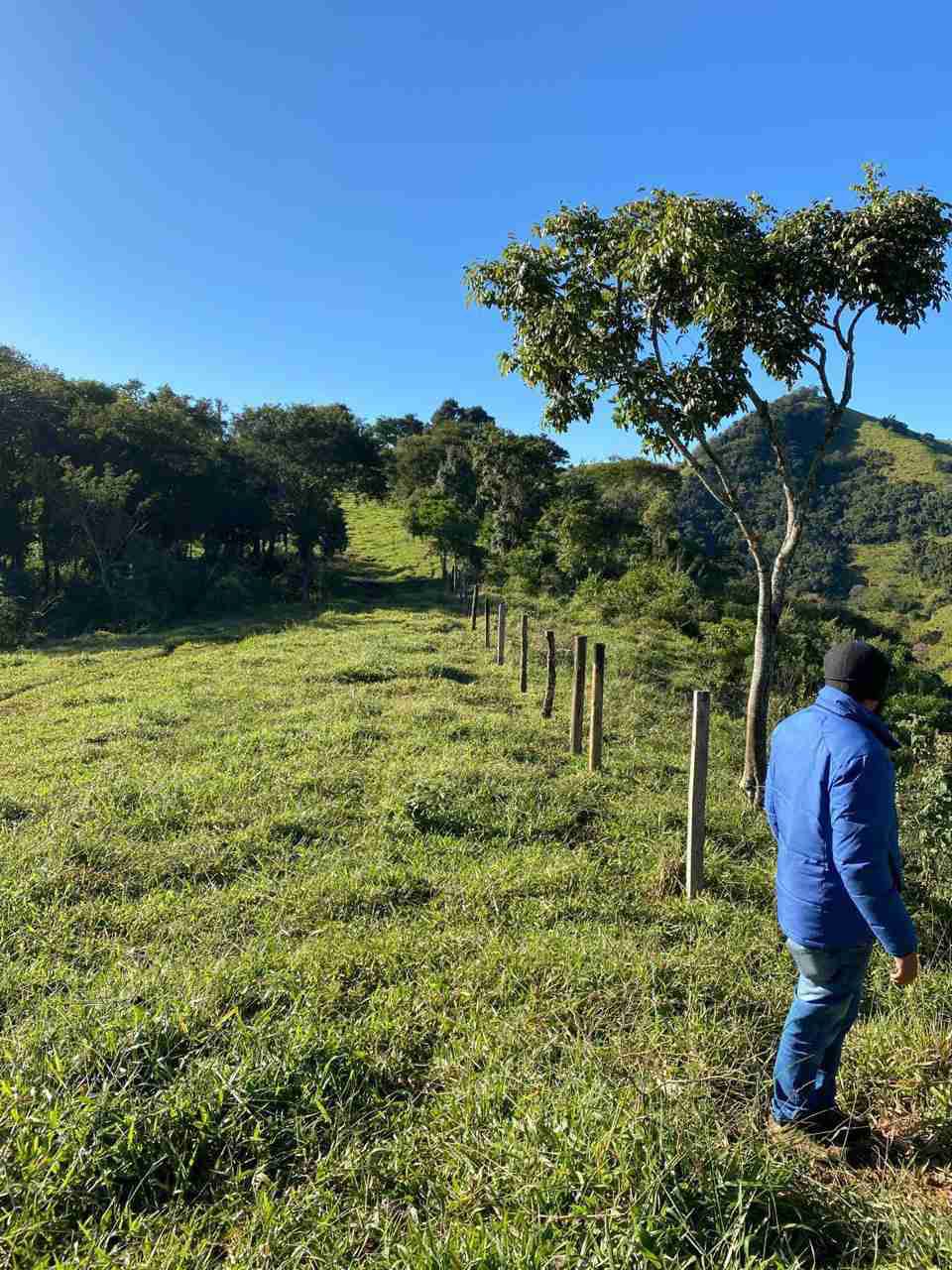 Oportunidade Fazenda 160 alqueires à venda, poço artesiano, 02 casas, perto de Ortigueira Pr