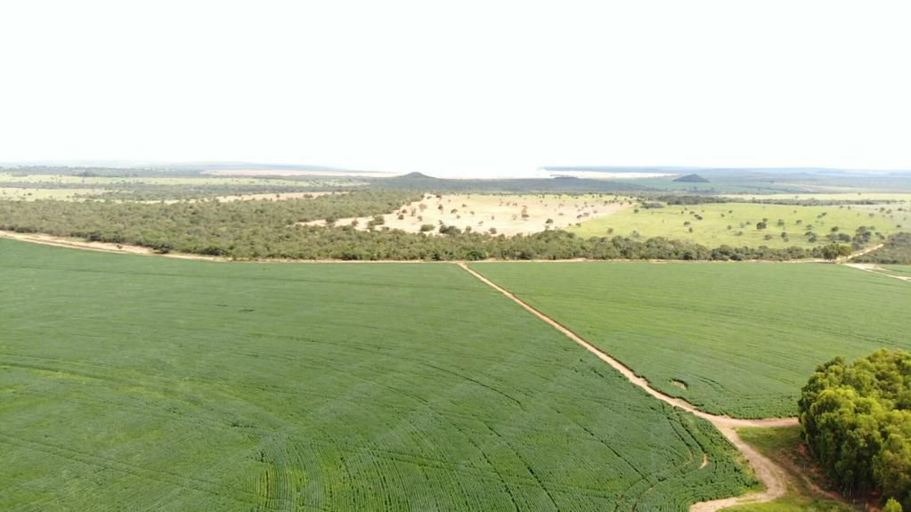 Fazenda 2149 hectares a venda, JÁ PLANTADO, PISTA DE POUSO-  Itiquira, MT
