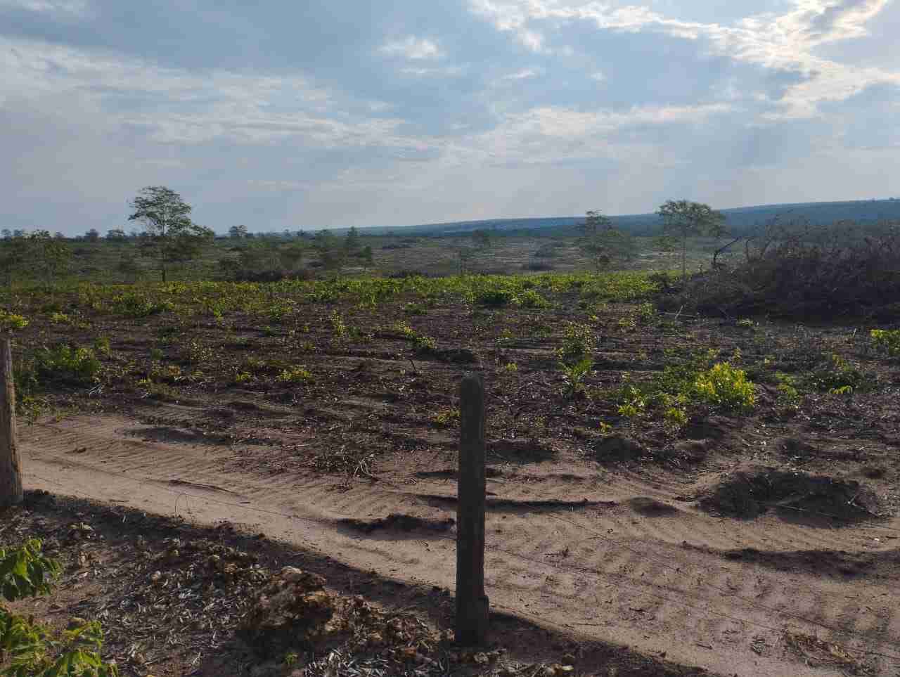 Fazenda 3000 hectares à venda , área plana, casa sede, barracão, poço artesiano, internet e 63 km da cidade de Campos de Julio MT