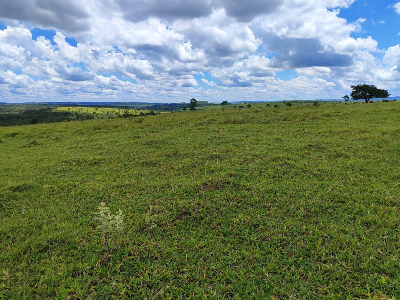 Fazenda à venda, Área Rural de Botucatu, Botucatu, SP