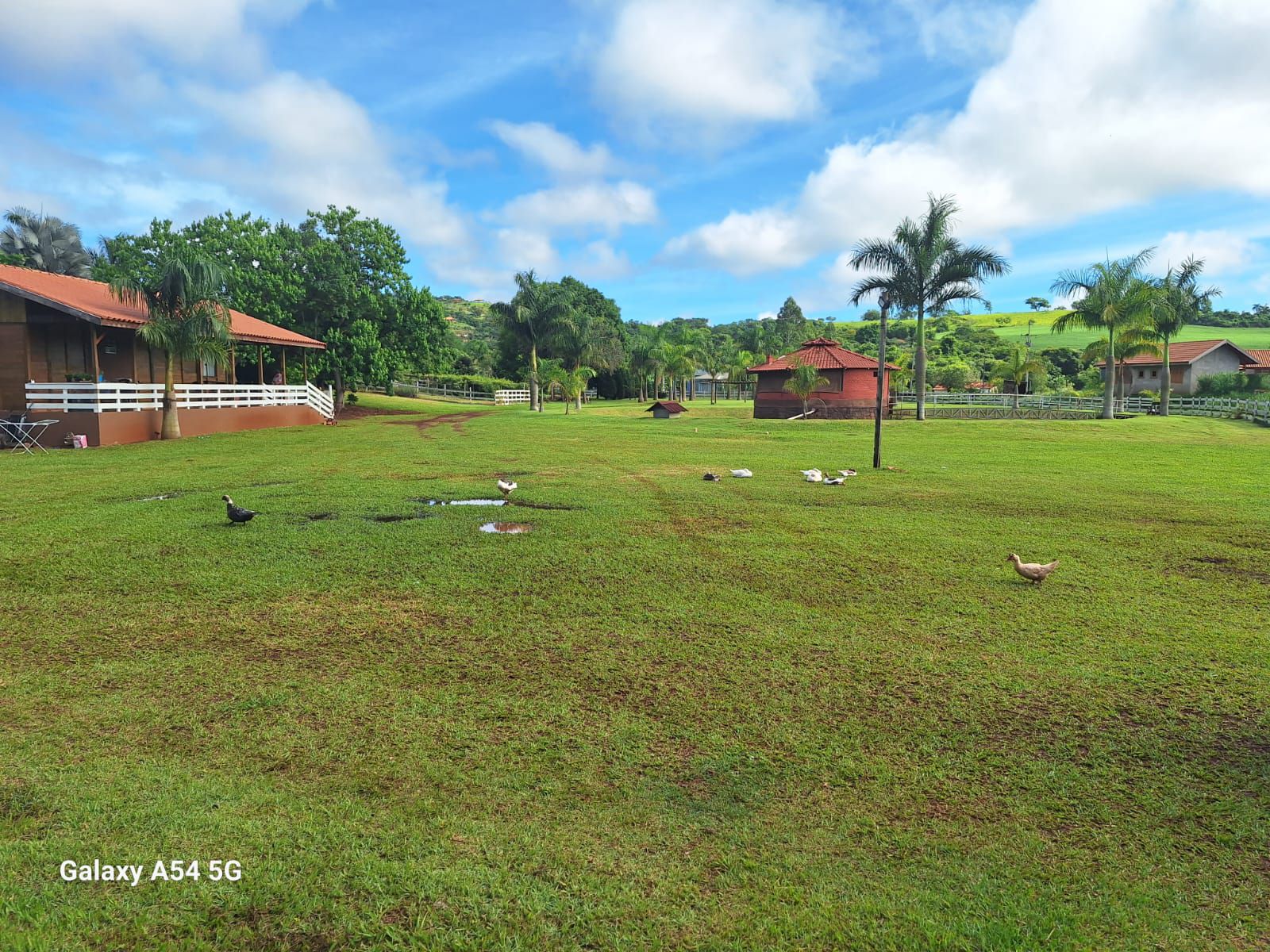 Chácara 9mil m2 à Venda, centro, Ibiporã, PR