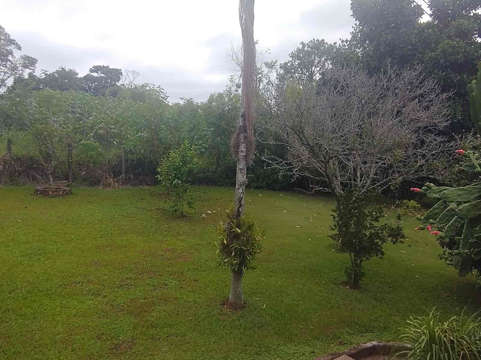 Chácara à venda, próximo ao Royal Forest, 3000 m² total, com casa 300m² de construção, 3 quartos sendo 1 suíte, Shangri-lá, Londrina, PR