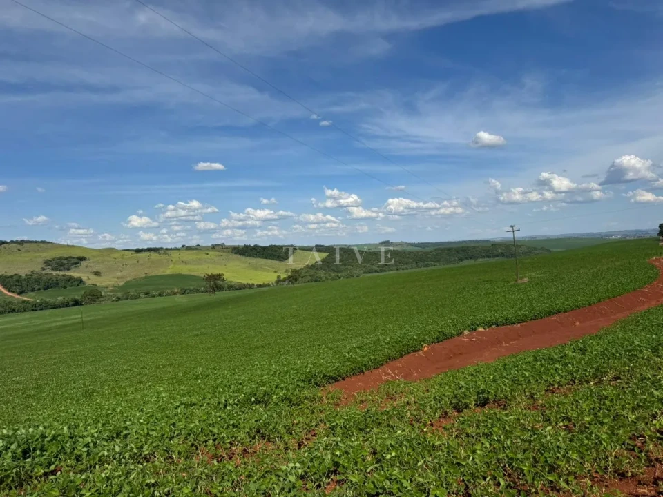 Imagens do imóveis Fazenda/Sítios/Chácaras À Venda São Luiz Londrina
