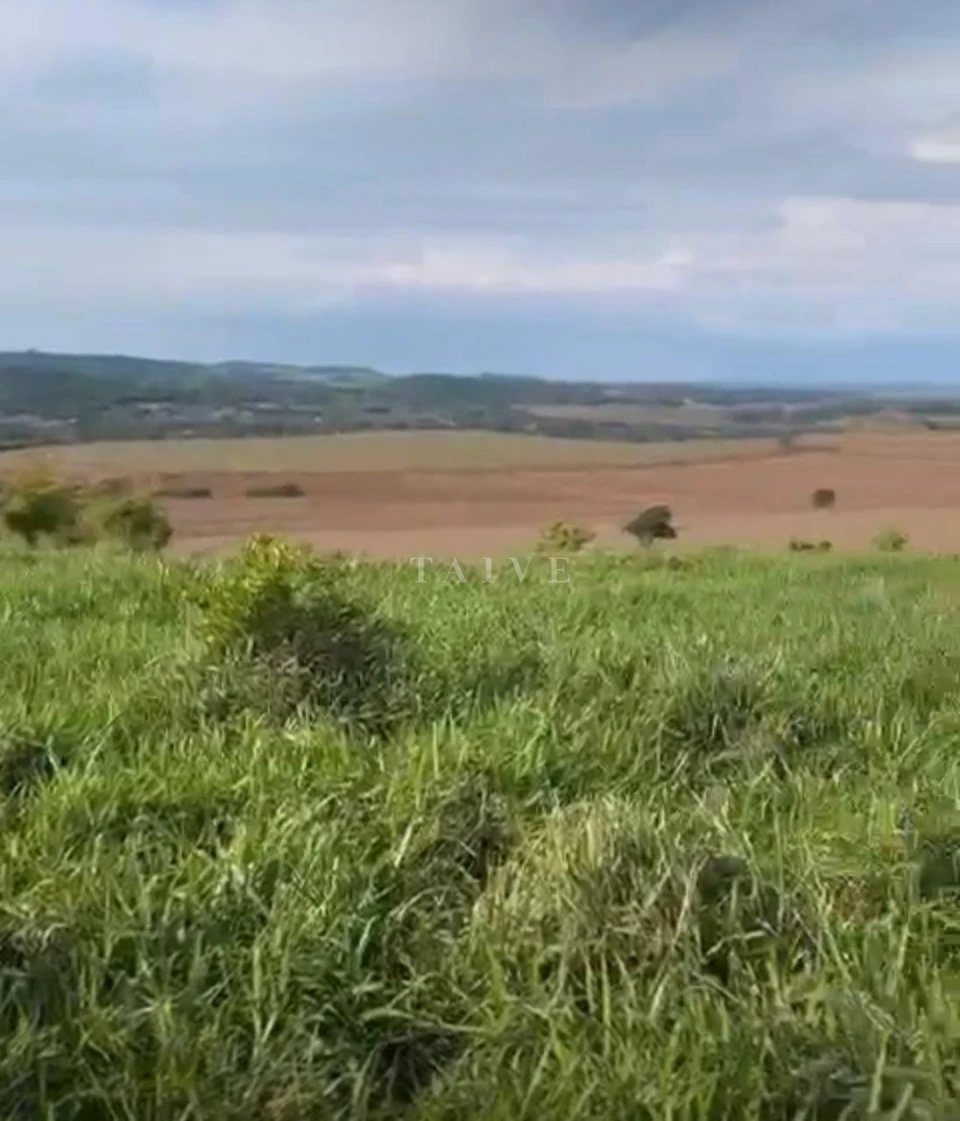 Imagens do imóveis Excelente Fazenda À Venda, 40 Alqueires, Fazenda Celeste, Londrina