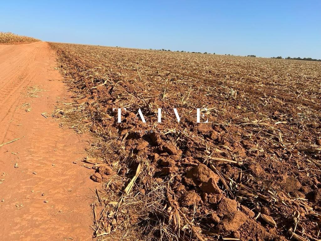 Fazenda 850 hectares à venda, em Sapezal MT, plantio soja e milho plana e mecanizável, com infraestrutura