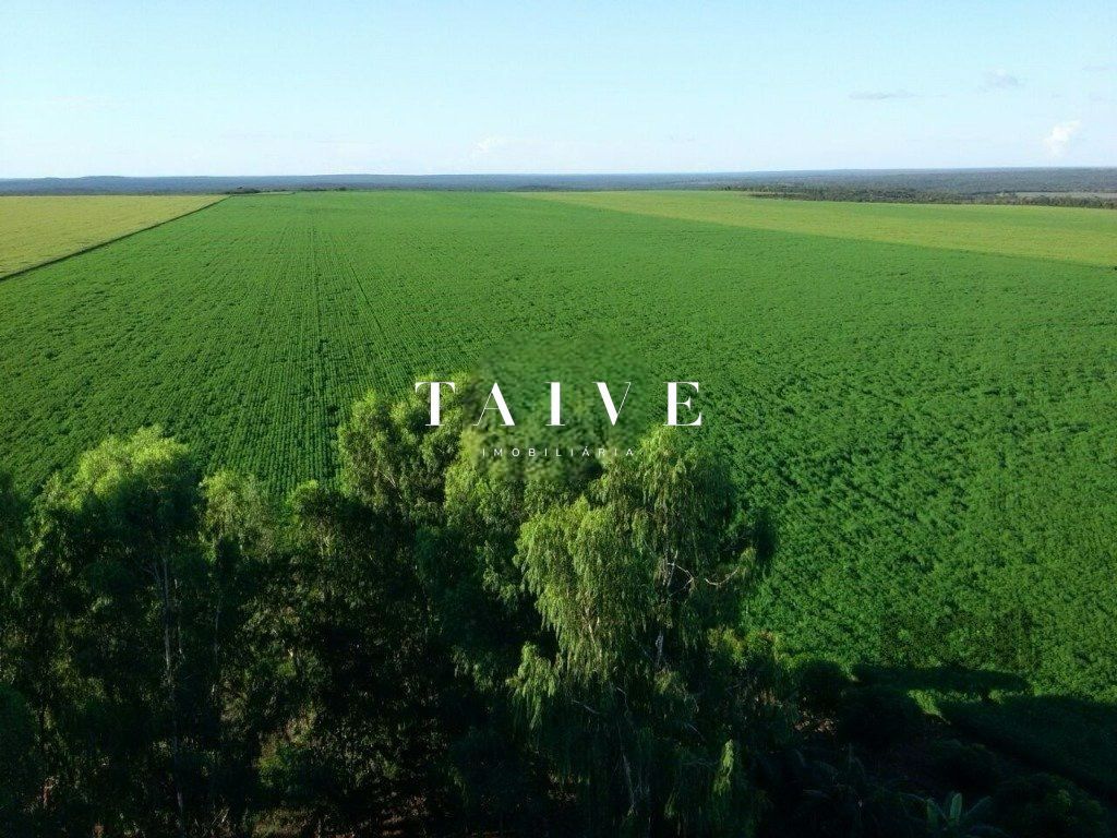 Fazenda 850 hectares à venda, em Sapezal MT, plantio soja e milho plana e mecanizável, com infraestrutura