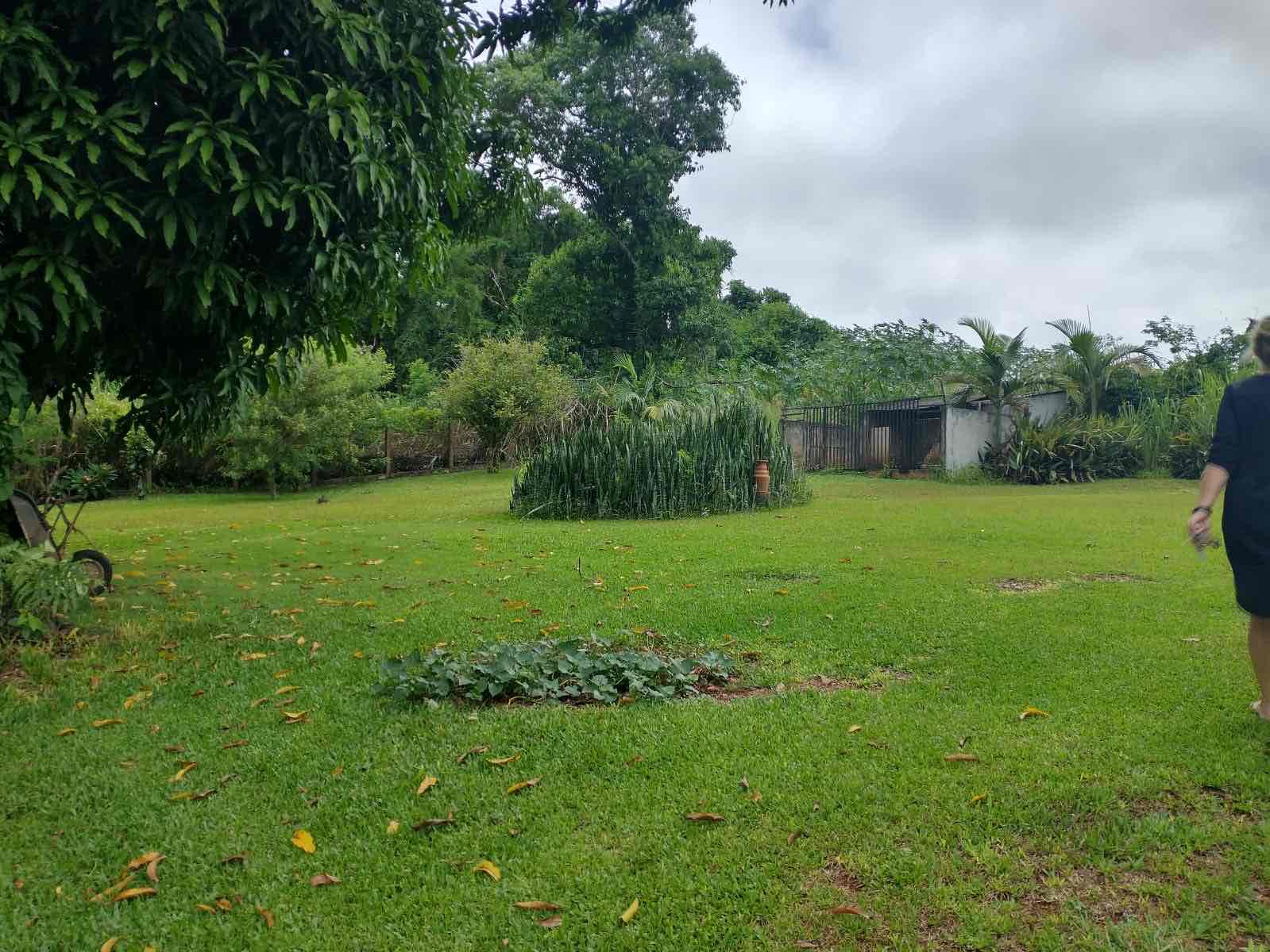 Chácara à venda, próximo ao Royal Forest, 3000 m² total, com casa 300m² de construção, 3 quartos sendo 1 suíte, Shangri-lá, Londrina, PR