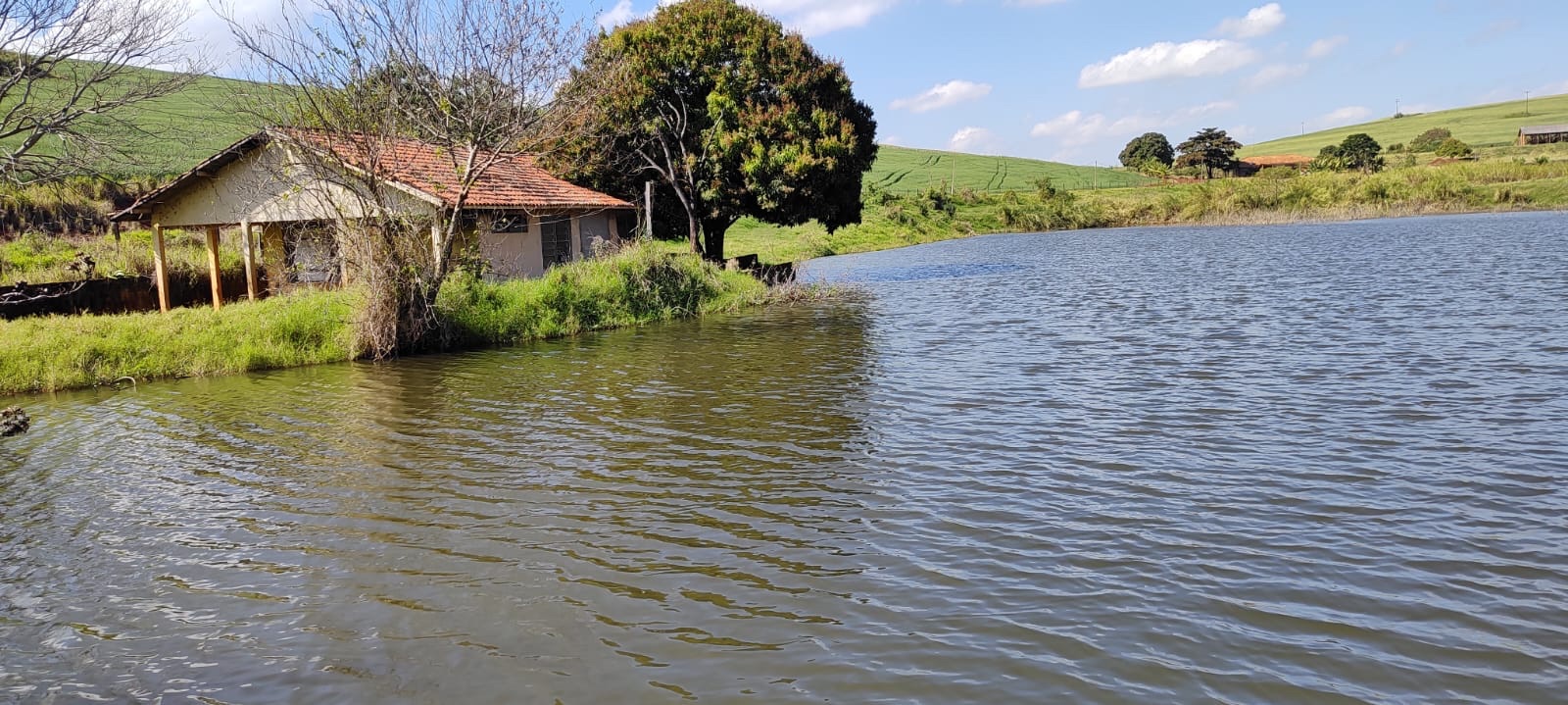 Fazenda à Venda, 102 alqueires, pastagem e plantio, com casas sede, funcionários e Colonia, barracões- região de Bandeirantes, PR