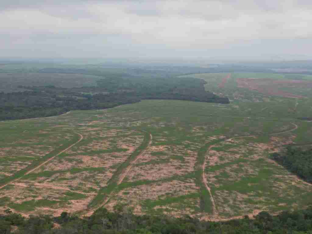 Fazenda 3000 hectares à venda , área plana, casa sede, barracão, poço artesiano, internet e 63 km da cidade de Campos de Julio MT