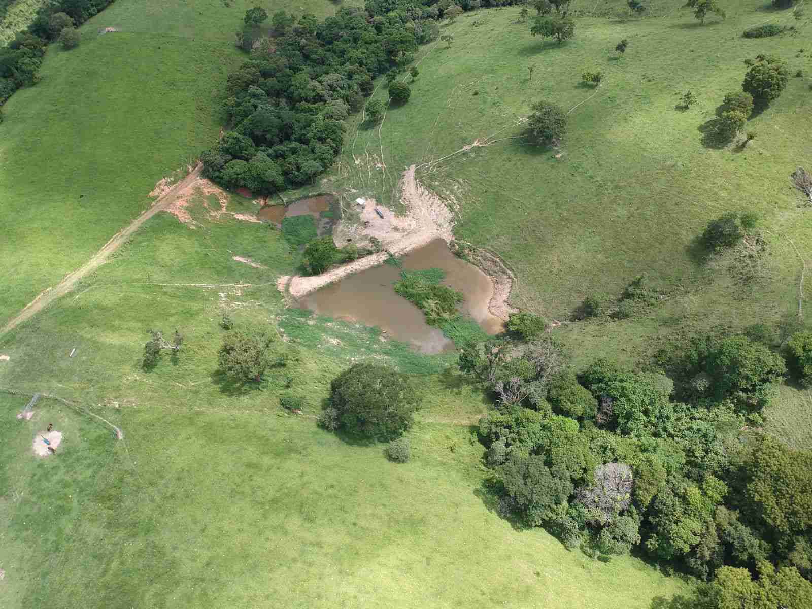 Oportunidade Fazenda 160 alqueires à venda, poço artesiano, 02 casas, perto de Ortigueira Pr