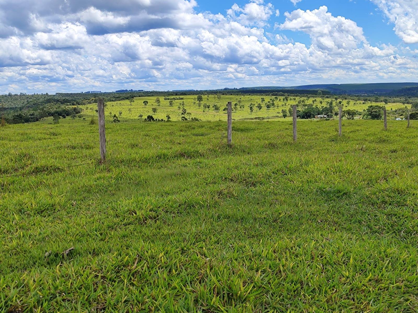 Fazenda à venda, Área Rural de Botucatu, Botucatu, SP