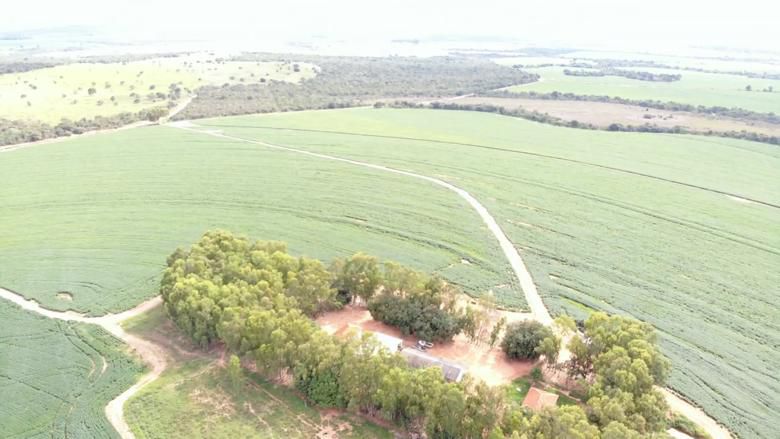 Fazenda 2149 hectares a venda, JÁ PLANTADO, PISTA DE POUSO-  Itiquira, MT