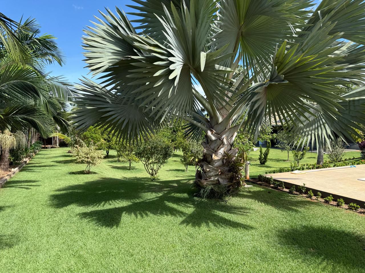 Chácara à venda, 400 m², Chácara Santa Maria, Cambé, PR