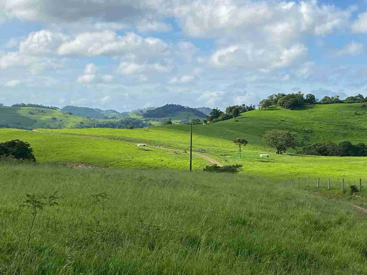 Oportunidade Fazenda 160 alqueires à venda, poço artesiano, 02 casas, perto de Ortigueira Pr