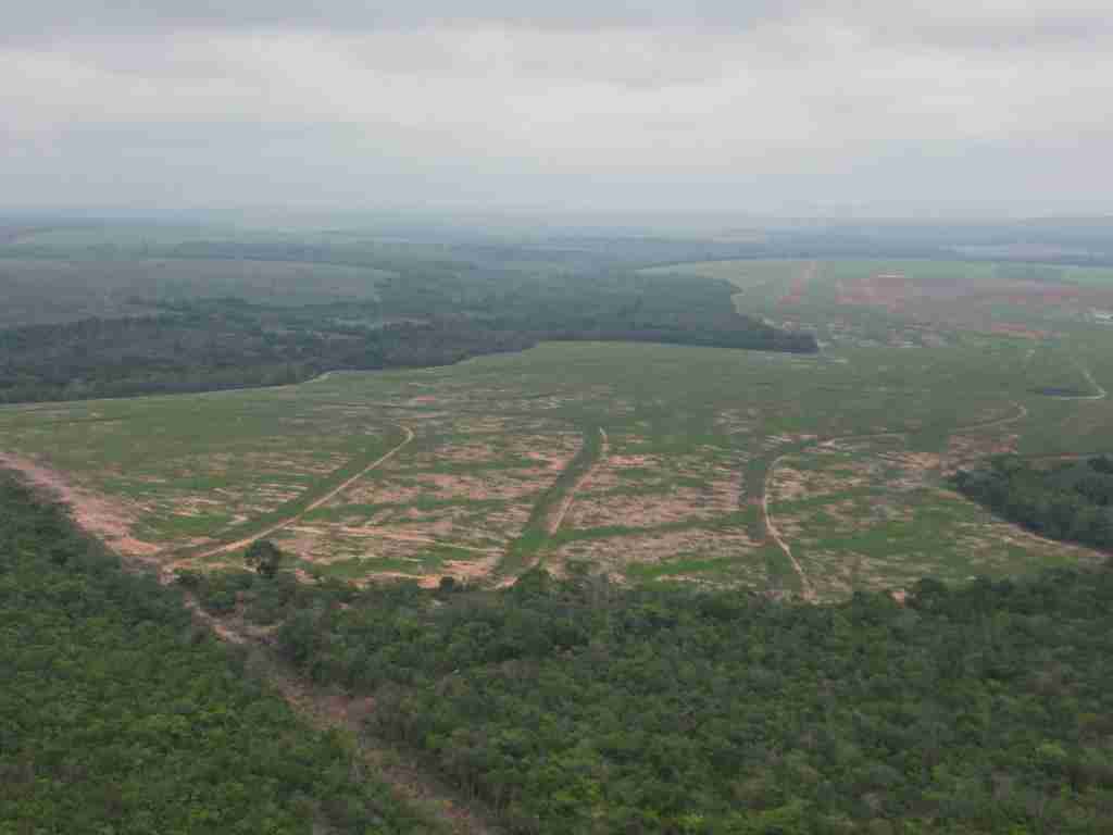 Fazenda 3000 hectares à venda , área plana, casa sede, barracão, poço artesiano, internet e 63 km da cidade de Campos de Julio MT