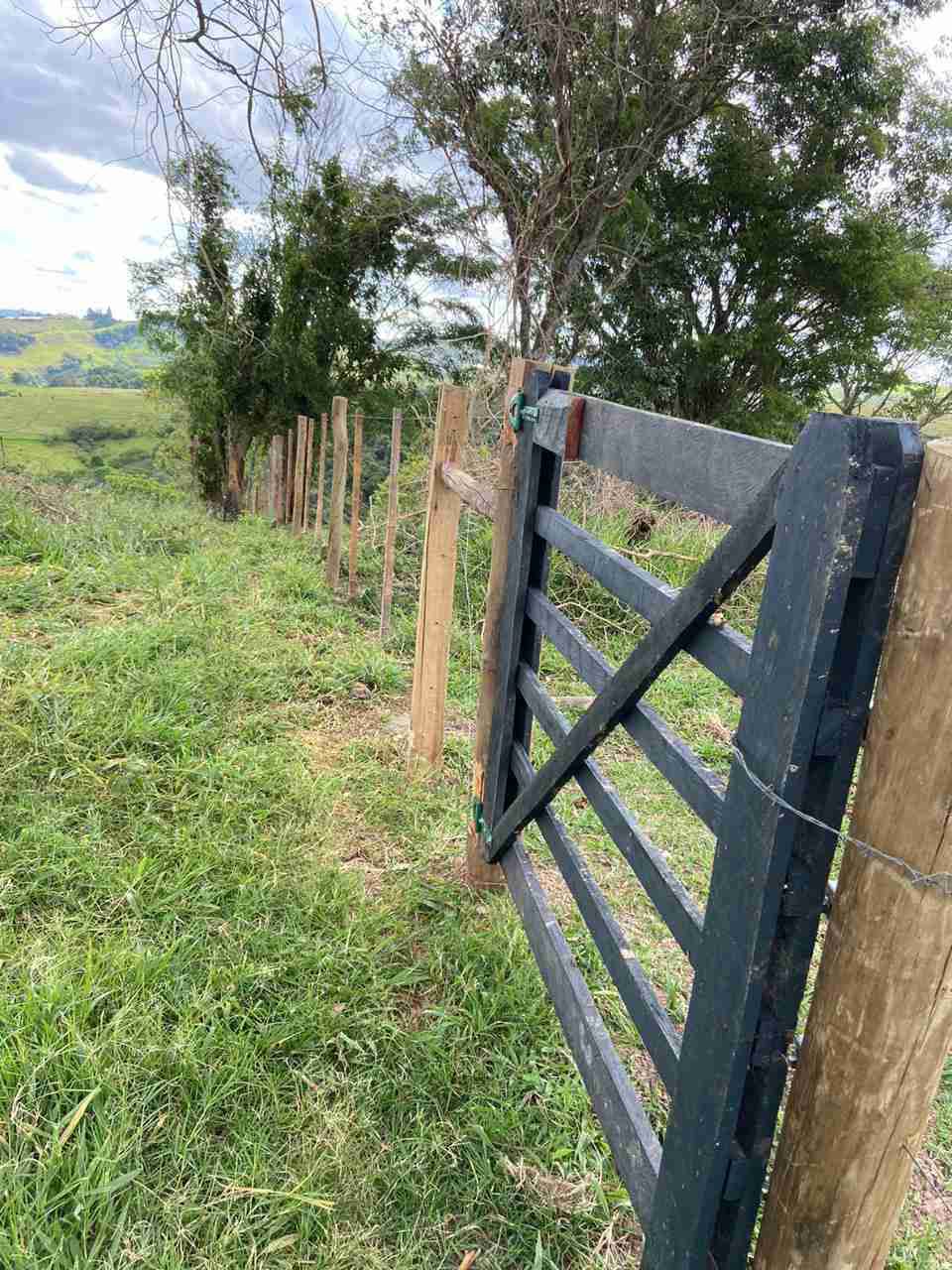 Oportunidade Fazenda 160 alqueires à venda, poço artesiano, 02 casas, perto de Ortigueira Pr