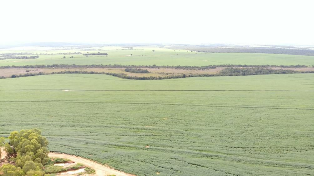 Fazenda 2149 hectares a venda, JÁ PLANTADO, PISTA DE POUSO-  Itiquira, MT