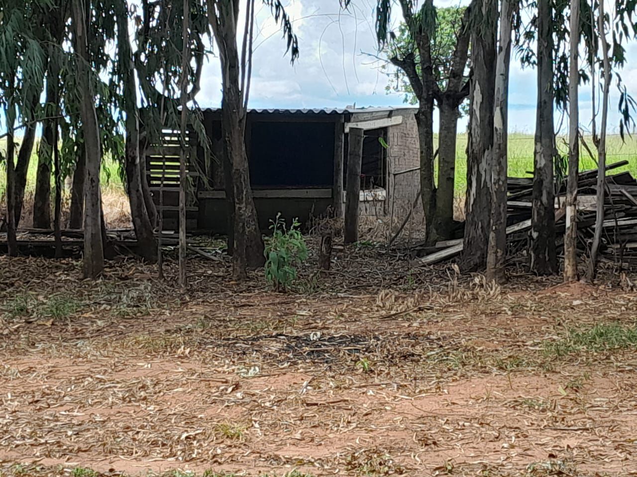 Fazenda 2149 hectares a venda, JÁ PLANTADO, PISTA DE POUSO-  Itiquira, MT