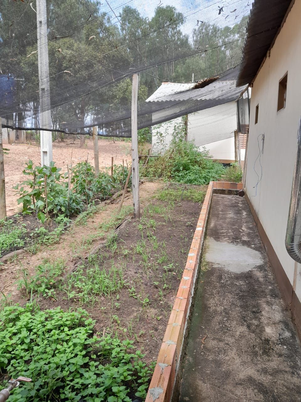Fazenda 2149 hectares a venda, JÁ PLANTADO, PISTA DE POUSO-  Itiquira, MT