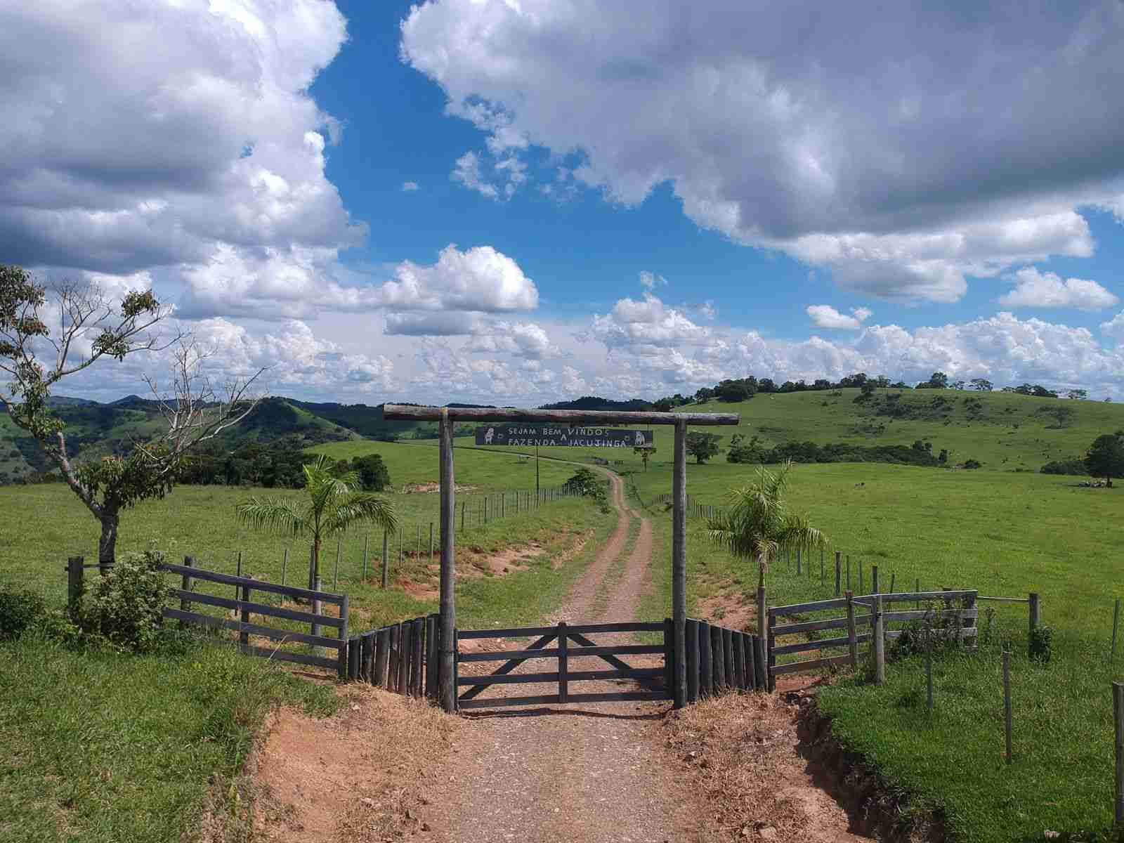 Oportunidade Fazenda 160 alqueires à venda, poço artesiano, 02 casas, perto de Ortigueira Pr