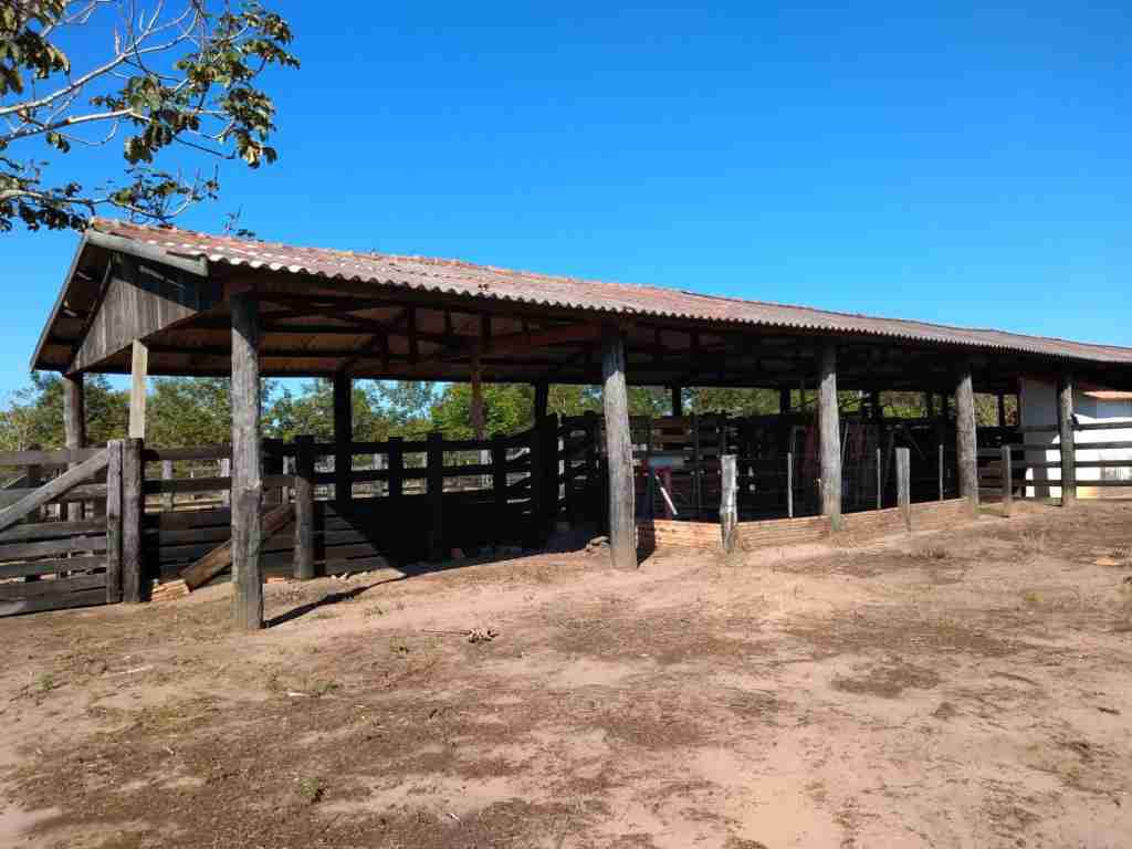 Fazenda 3000 hectares à venda , área plana, casa sede, barracão, poço artesiano, internet e 63 km da cidade de Campos de Julio MT