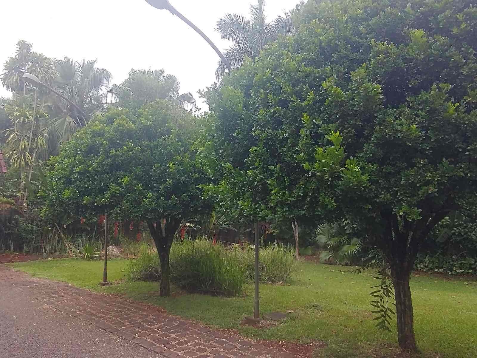 Chácara à venda, próximo ao Royal Forest, 3000 m² total, com casa 300m² de construção, 3 quartos sendo 1 suíte, Shangri-lá, Londrina, PR