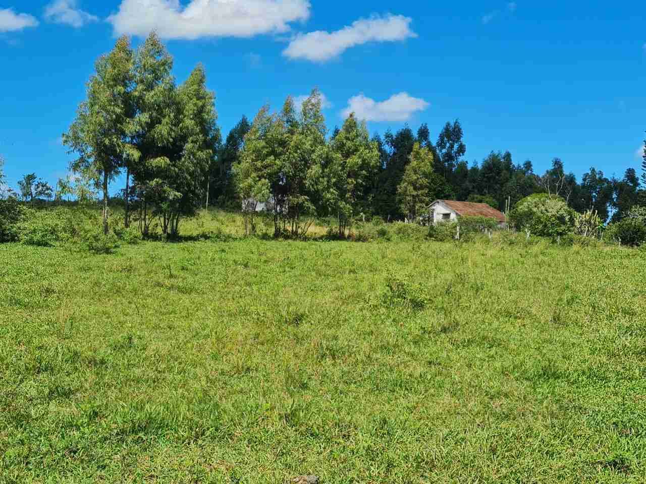 Fazenda à Venda, sao vicente, Araruama, RJ