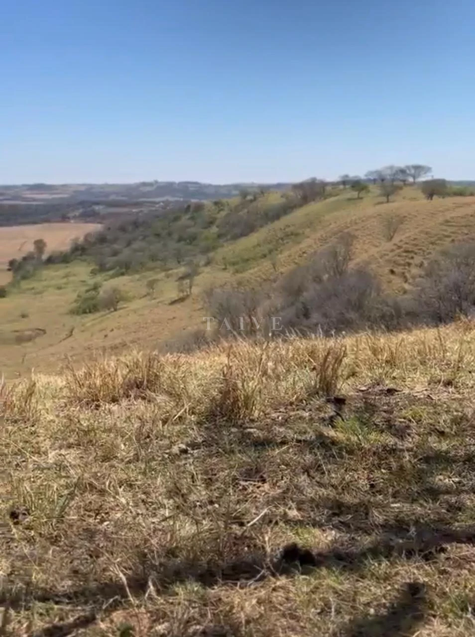 Imagens do imóveis Excelente Fazenda À Venda, 40 Alqueires, Fazenda Celeste, Londrina