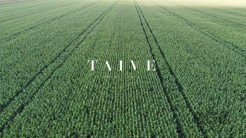 Fazenda 850 hectares à venda, em Sapezal MT, plantio soja e milho plana e mecanizável, com infraestrutura