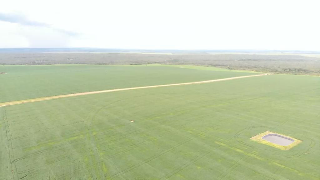 Fazenda 2149 hectares a venda, JÁ PLANTADO, PISTA DE POUSO-  Itiquira, MT