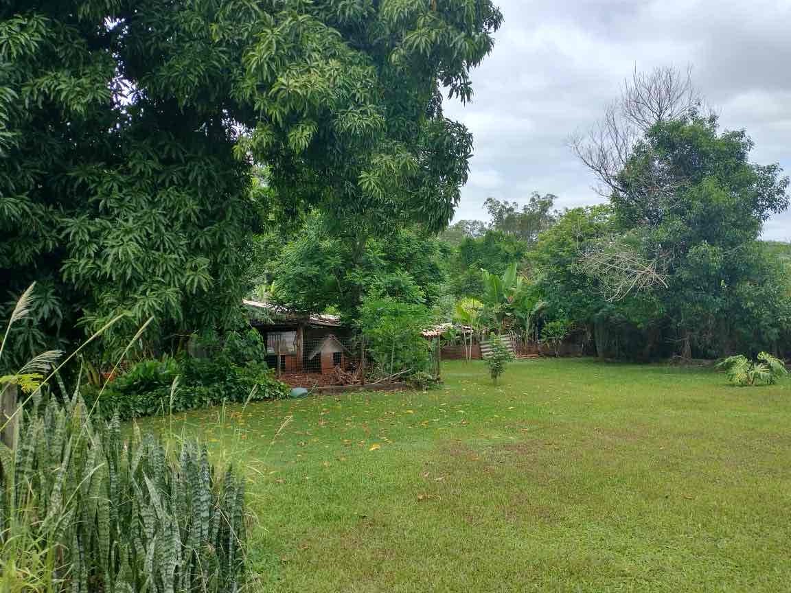 Chácara à venda, próximo ao Royal Forest, 3000 m² total, com casa 300m² de construção, 3 quartos sendo 1 suíte, Shangri-lá, Londrina, PR