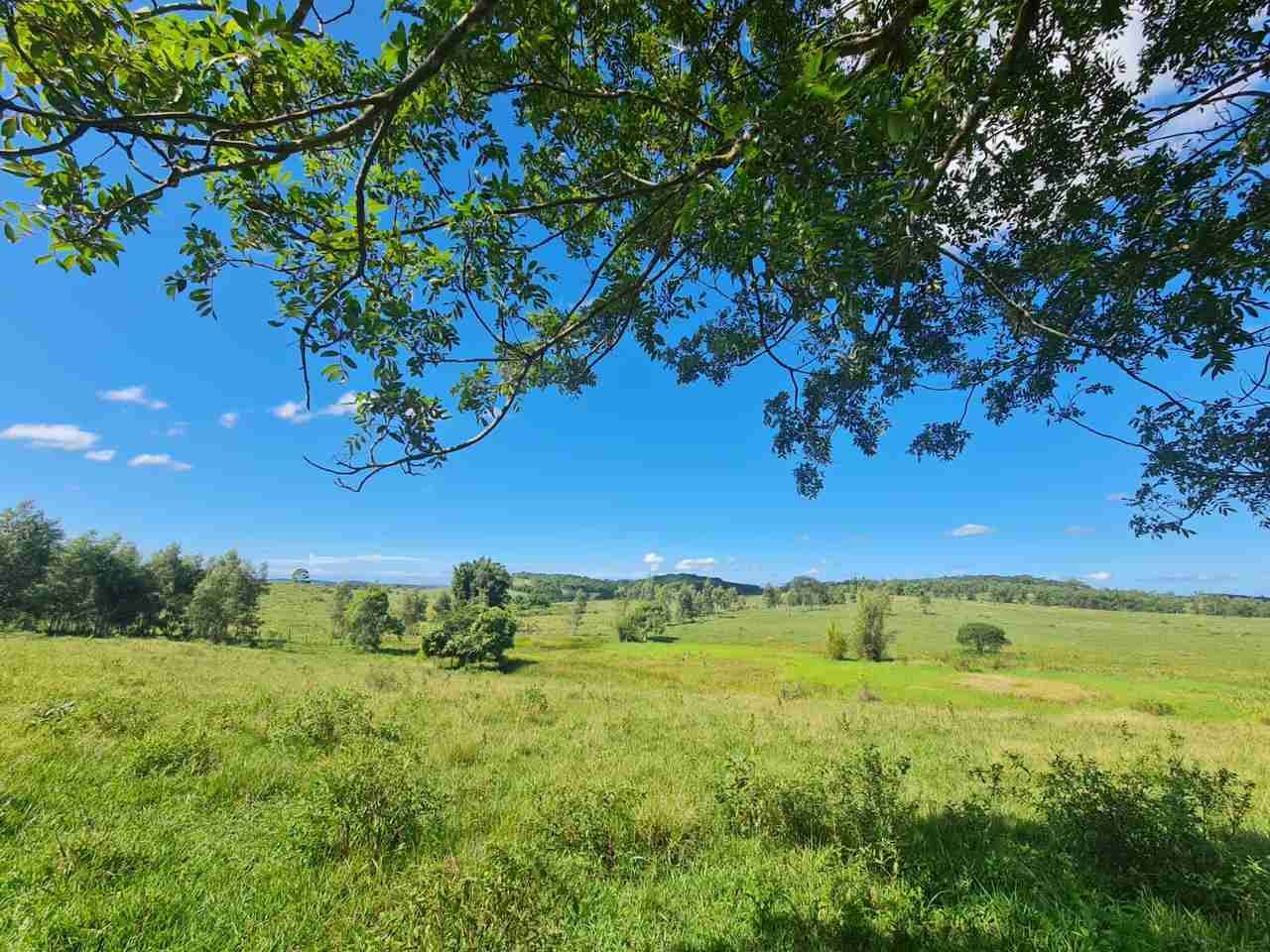 Fazenda à Venda, sao vicente, Araruama, RJ