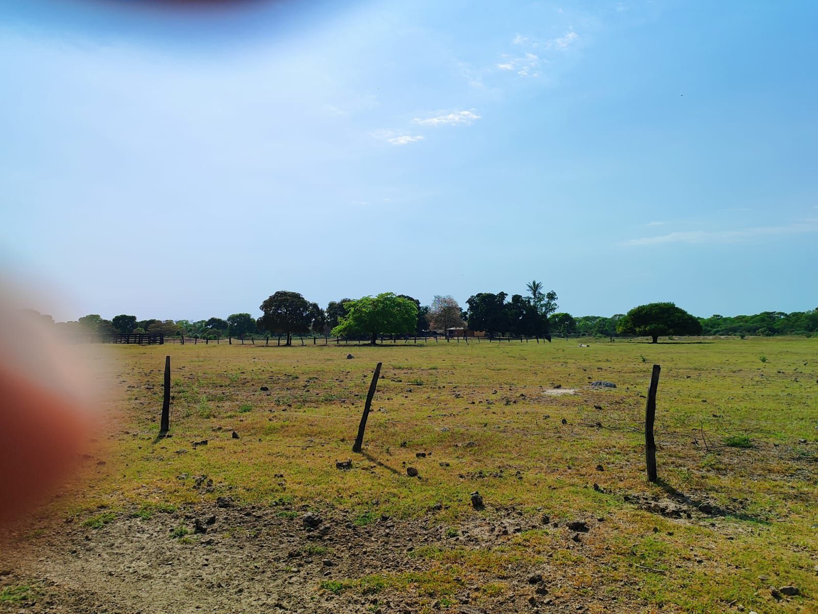 Fazenda à venda, treze mil hectares, cortada pela rodovia MT 40, Cuiabá, MT
