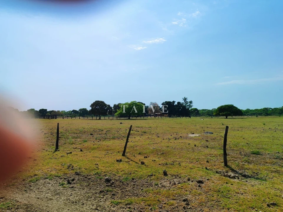 Fazenda, sítio ou chácara 1 quarto à venda em ZONA RURAL, Barão de Melgaço — Residencial Estância Pousada Tucunaré - foto 3