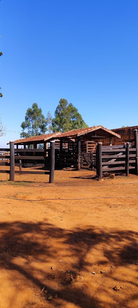 Fazenda à venda, Área Rural de Pardinho, Pardinho, SP