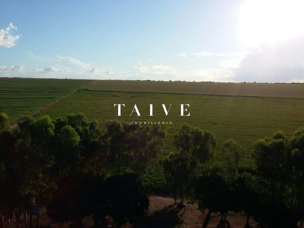 Fazenda 850 hectares à venda, em Sapezal MT, plantio soja e milho plana e mecanizável, com infraestrutura