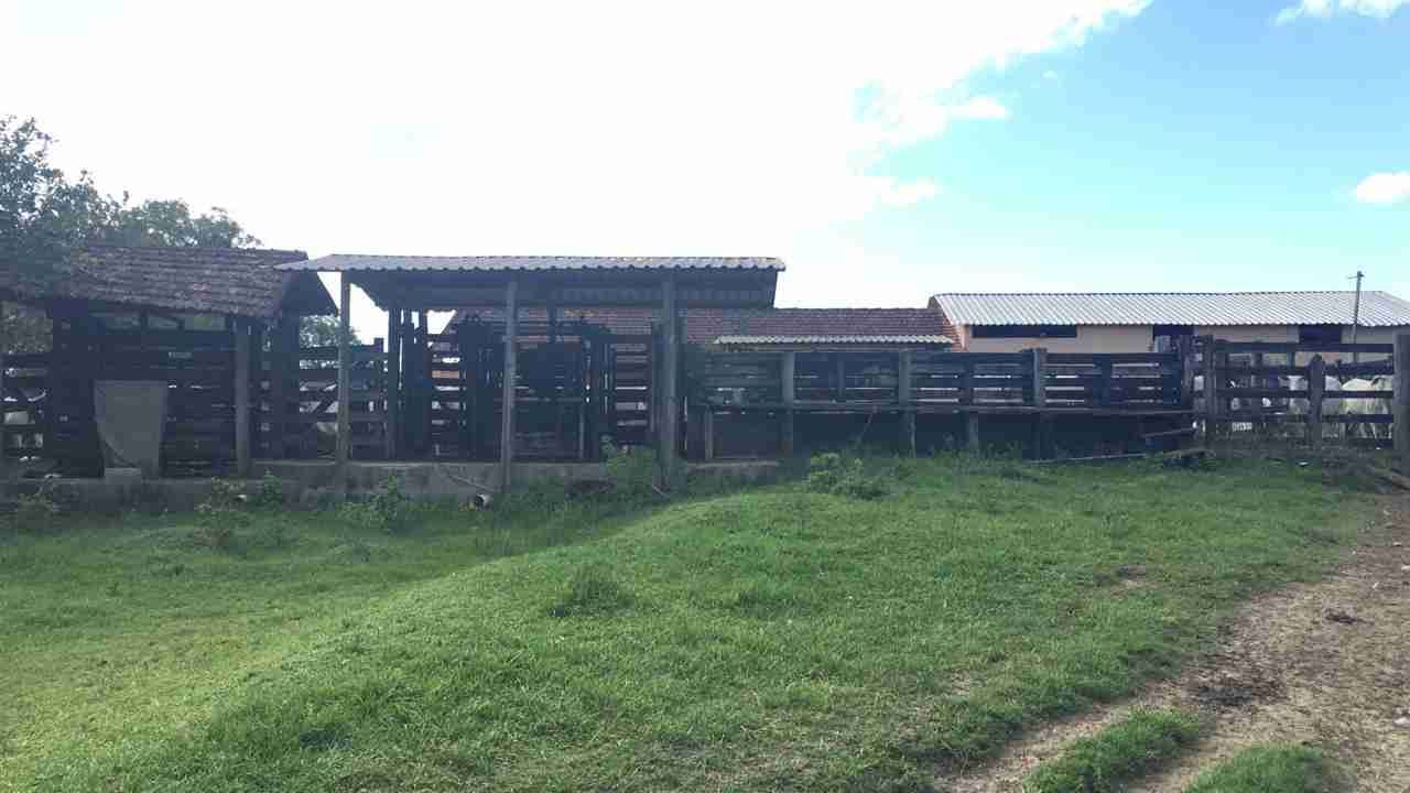 Fazenda à Venda, sao vicente, Araruama, RJ