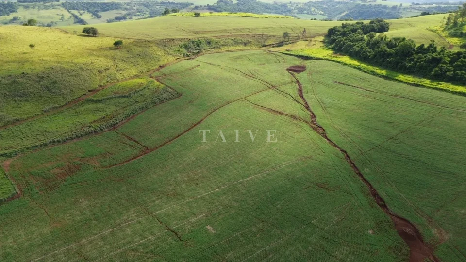 Imagens do imóveis Fazenda/Sítios/Chácaras À Venda São Luiz Londrina